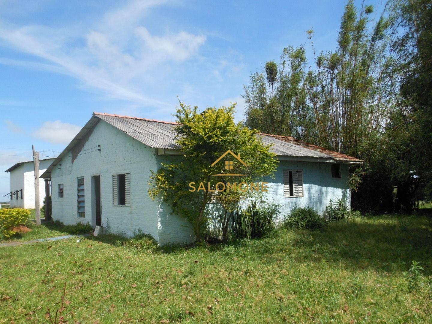 Fazenda, 100 hectares - Foto 2