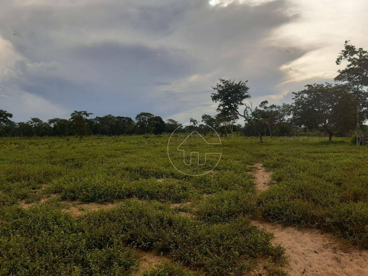 Fazenda à venda, 726000M2 - Foto 13