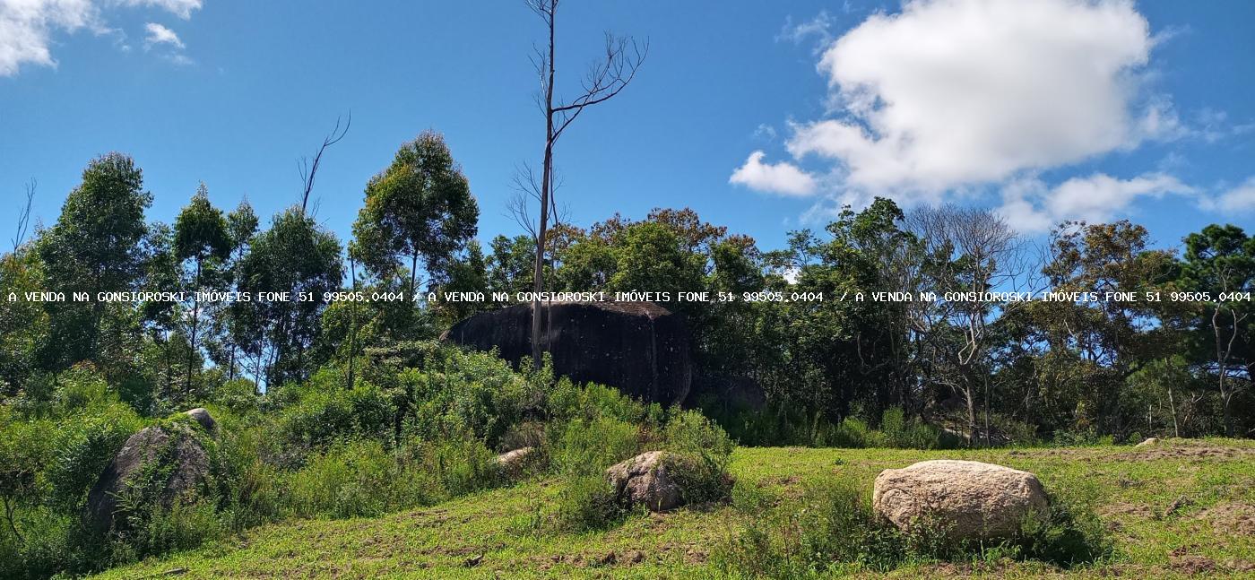 Fazenda à venda com 2 quartos, 600000m² - Foto 39