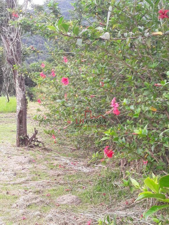 Loteamento e Condomínio, 408 m² - Foto 3