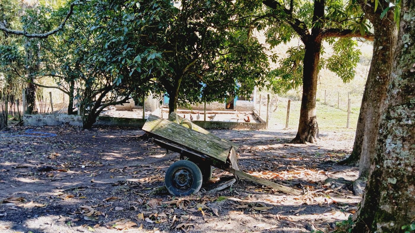 Fazenda à venda com 3 quartos, 100000m² - Foto 19