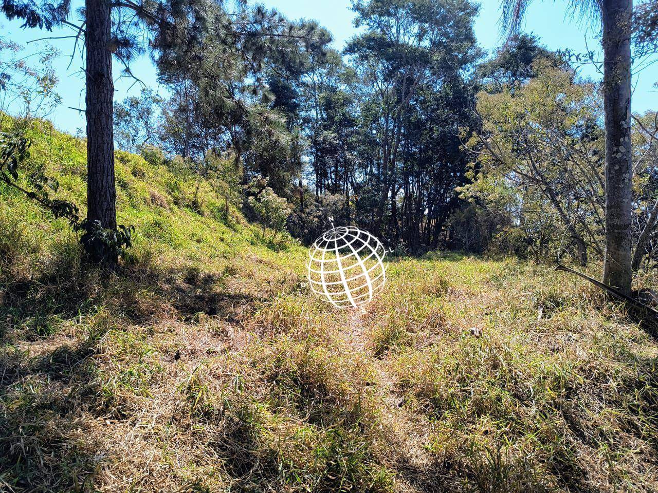 Terreno, 4 hectares - Foto 5