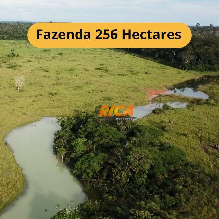 Fazenda-Sítio-Chácara, 256 hectares - Foto 1