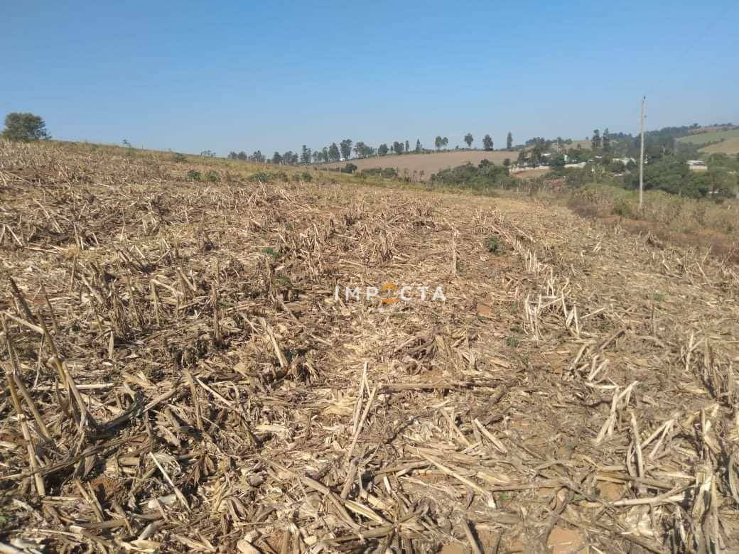 Terreno à venda, 10000M2 - Foto 2