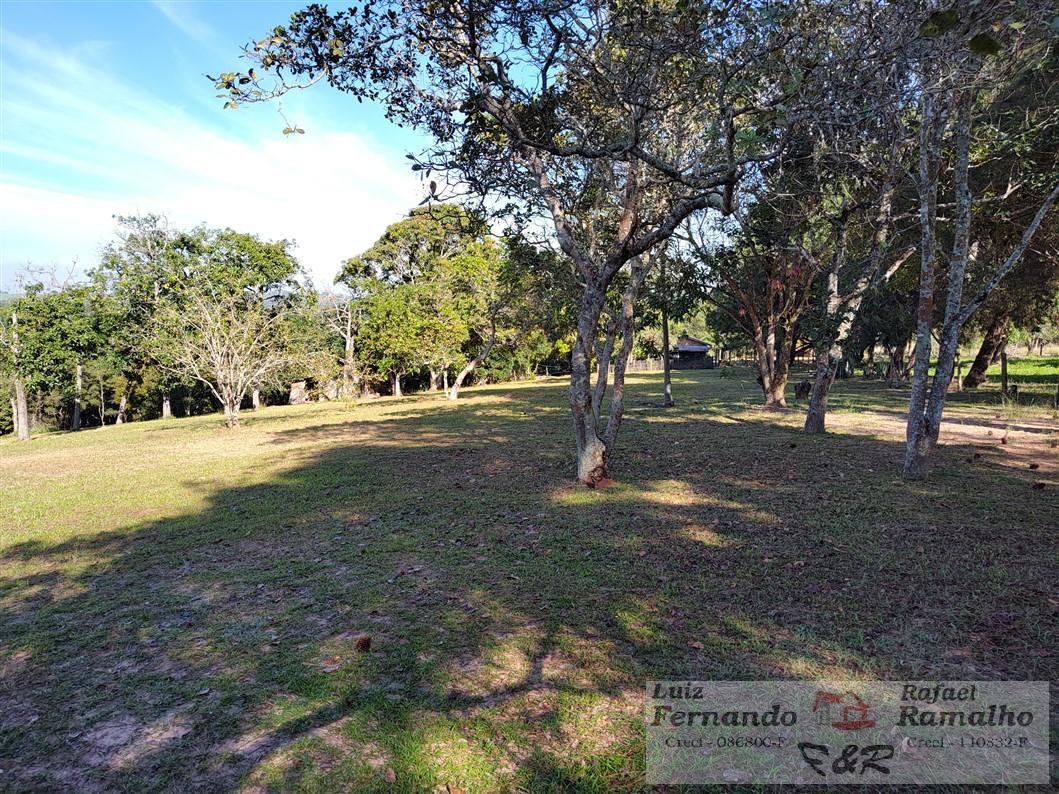 Fazenda à venda com 2 quartos, 16000m² - Foto 22