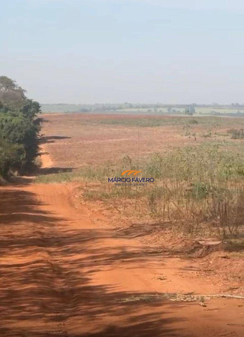 Fazenda, 121 hectares - Foto 4