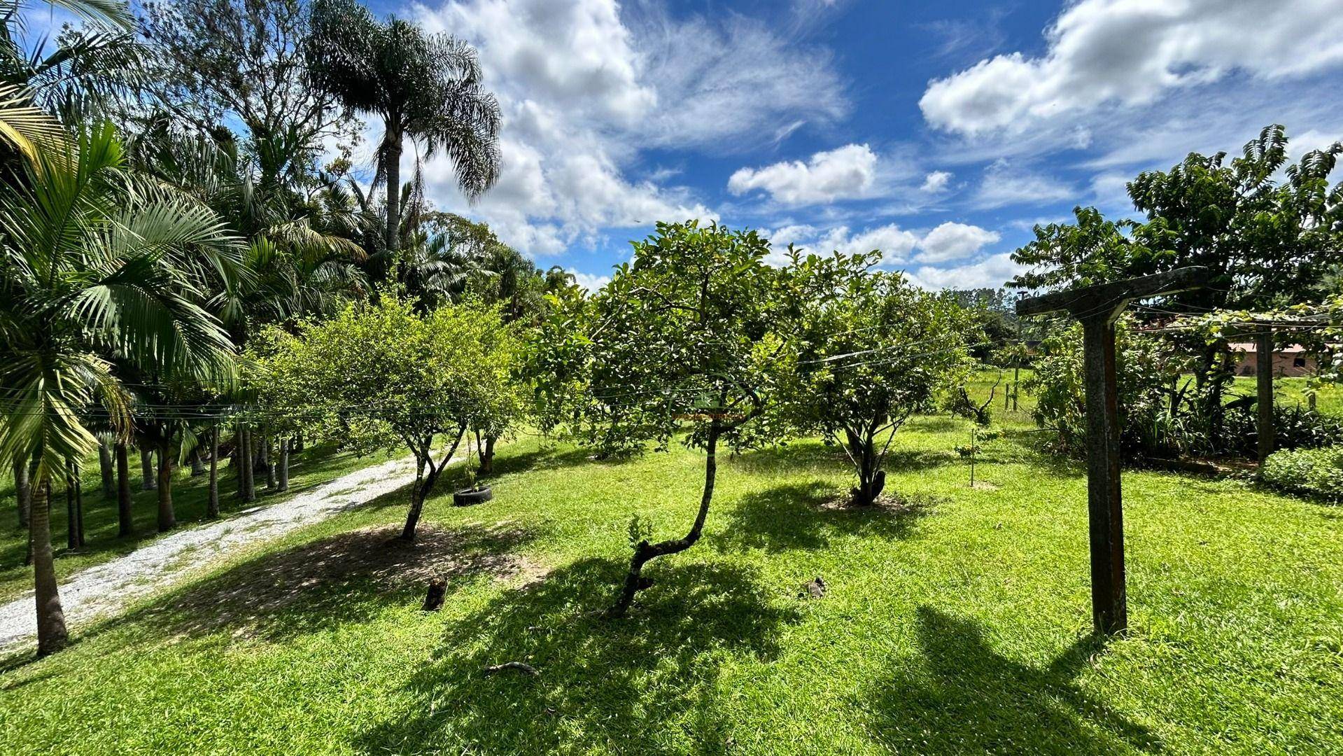 Chácara, 2 hectares - Foto 30