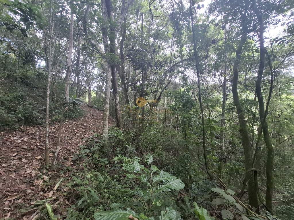 Terreno à venda, 216036m² - Foto 10
