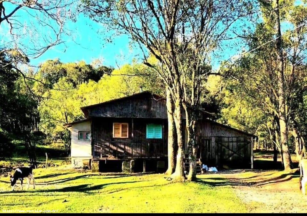 Fazenda à venda, 1m² - Foto 1