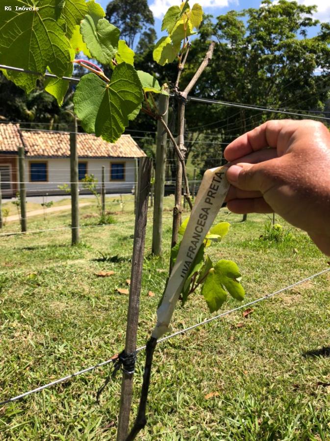 Fazenda-Sítio-Chácara, 378 hectares - Foto 11
