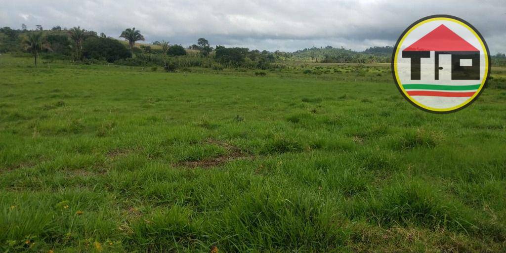 Fazenda, 145 hectares - Foto 12