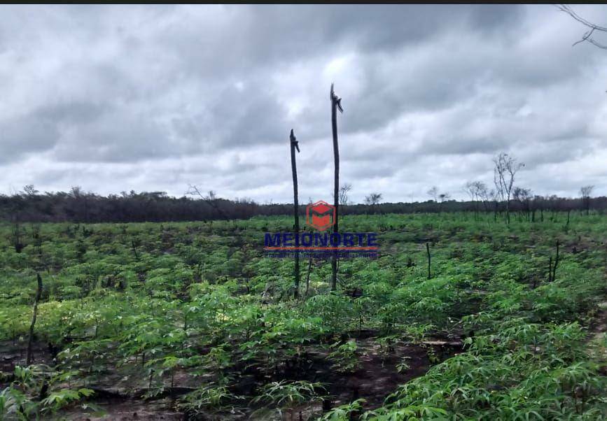 Fazenda à venda com 1 quarto, 2400000M2 - Foto 12