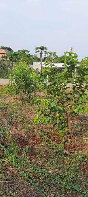 Loteamento e Condomínio à venda, 1000M2 - Foto 8