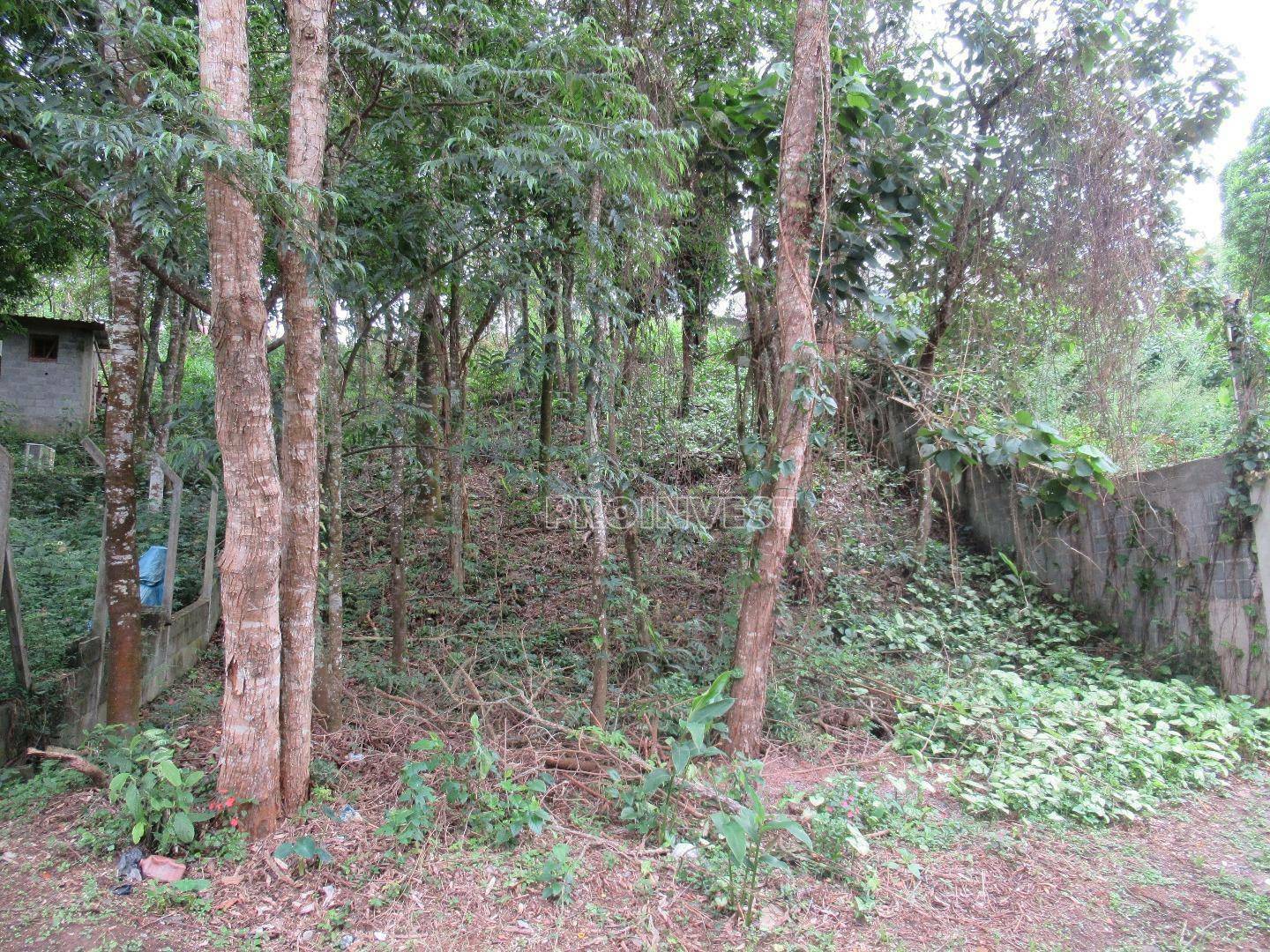 Loteamento e Condomínio à venda, 1004M2 - Foto 5