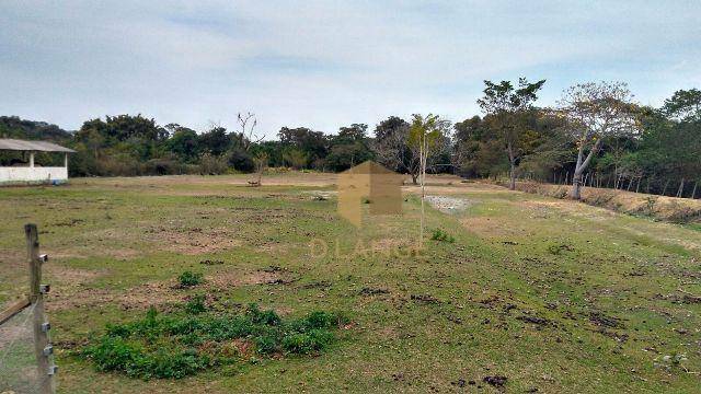 Terreno à venda, 13000M2 - Foto 4