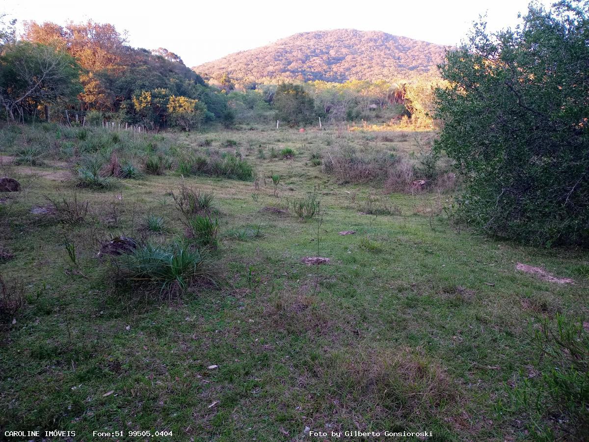 Fazenda à venda com 3 quartos, 586000m² - Foto 19