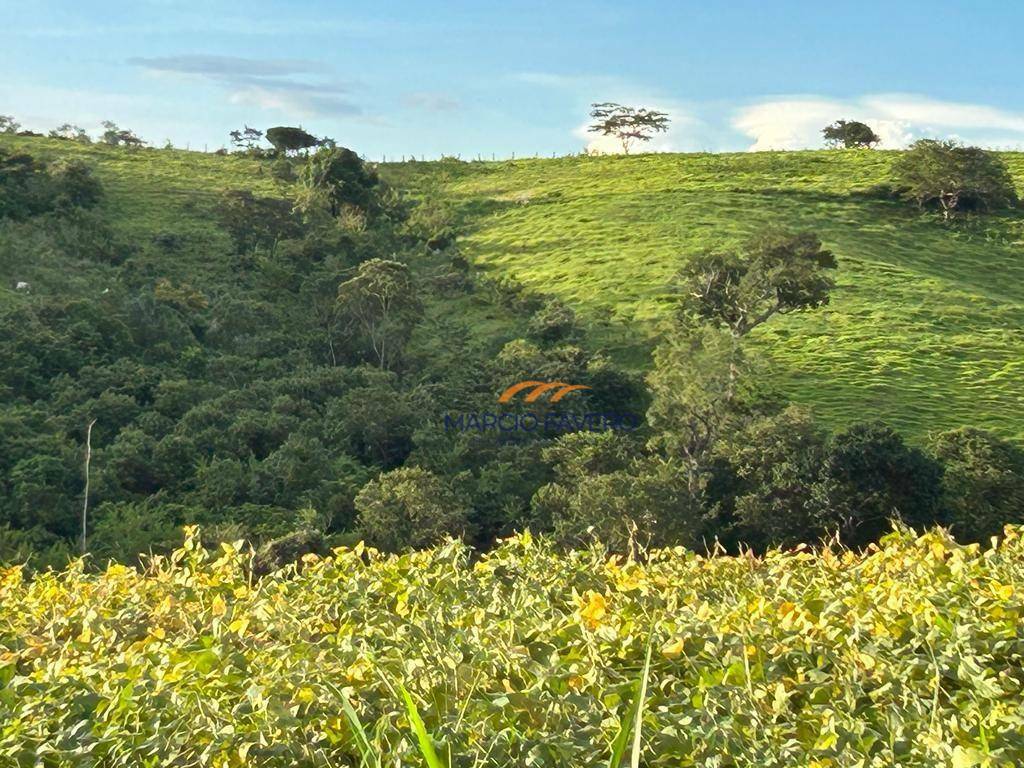 Fazenda à venda, 1403600M2 - Foto 3