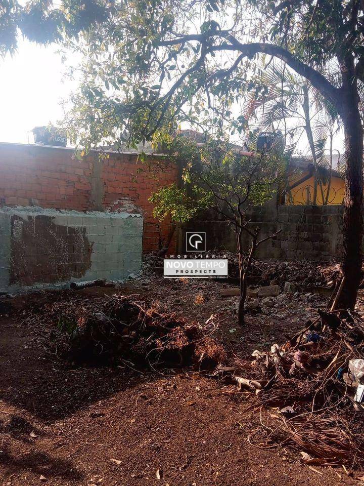Casa à venda com 3 quartos, 80m² - Foto 16