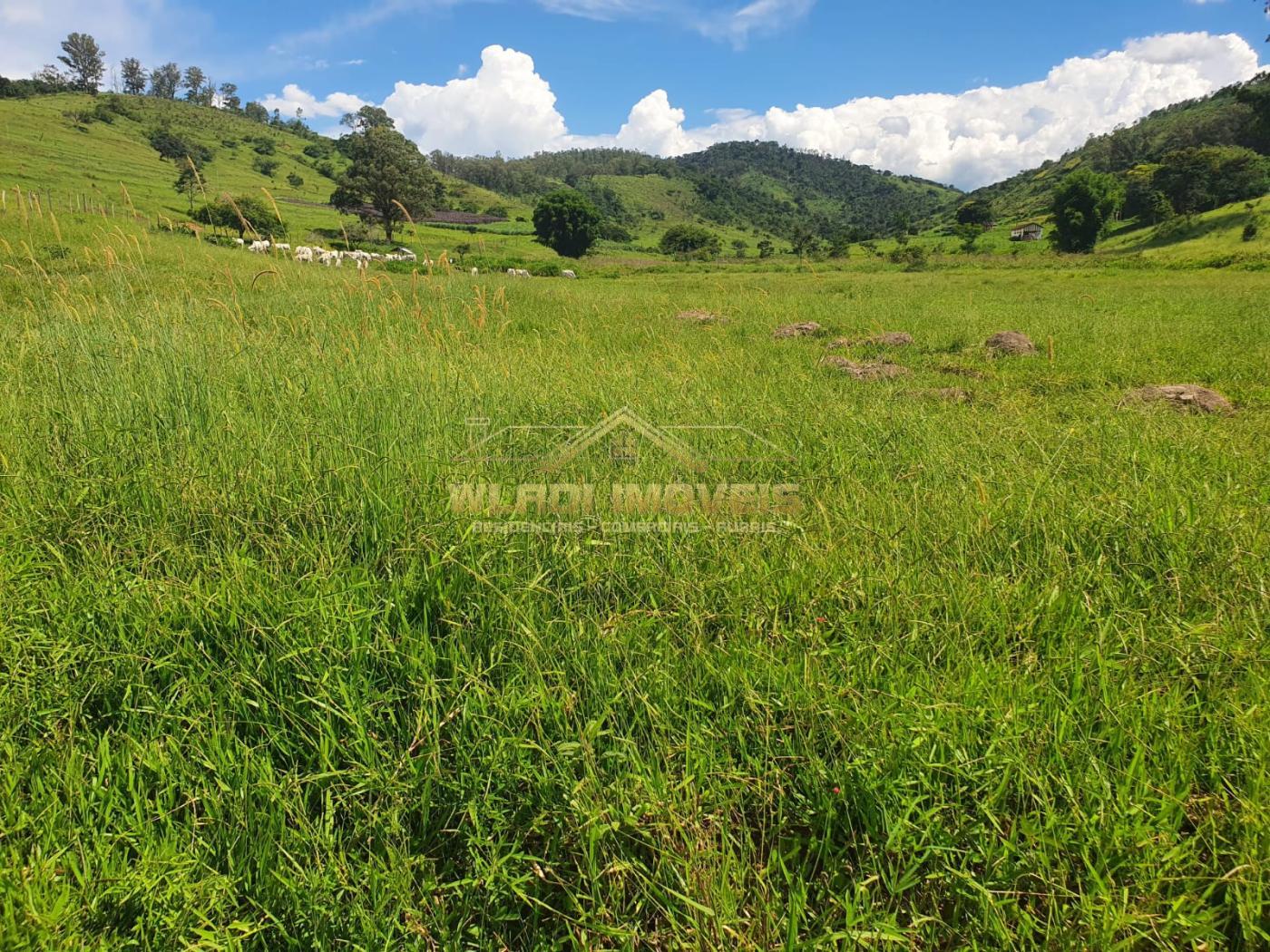 Fazenda à venda, 224m² - Foto 15