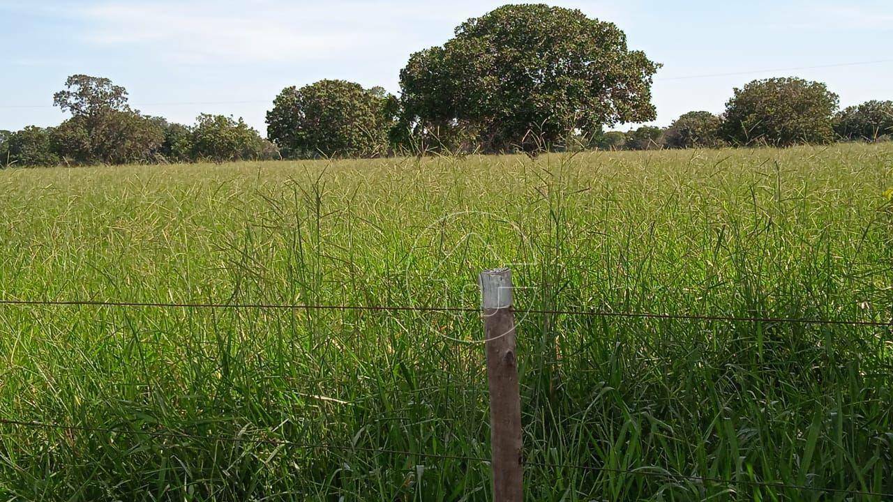 Fazenda à venda, 8800000M2 - Foto 10