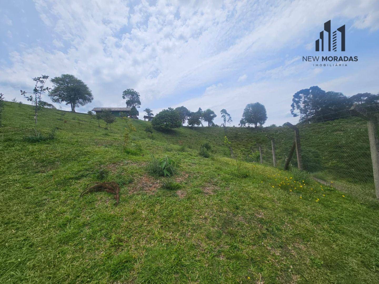 Chácara, 9 quartos, 3 hectares - Foto 21