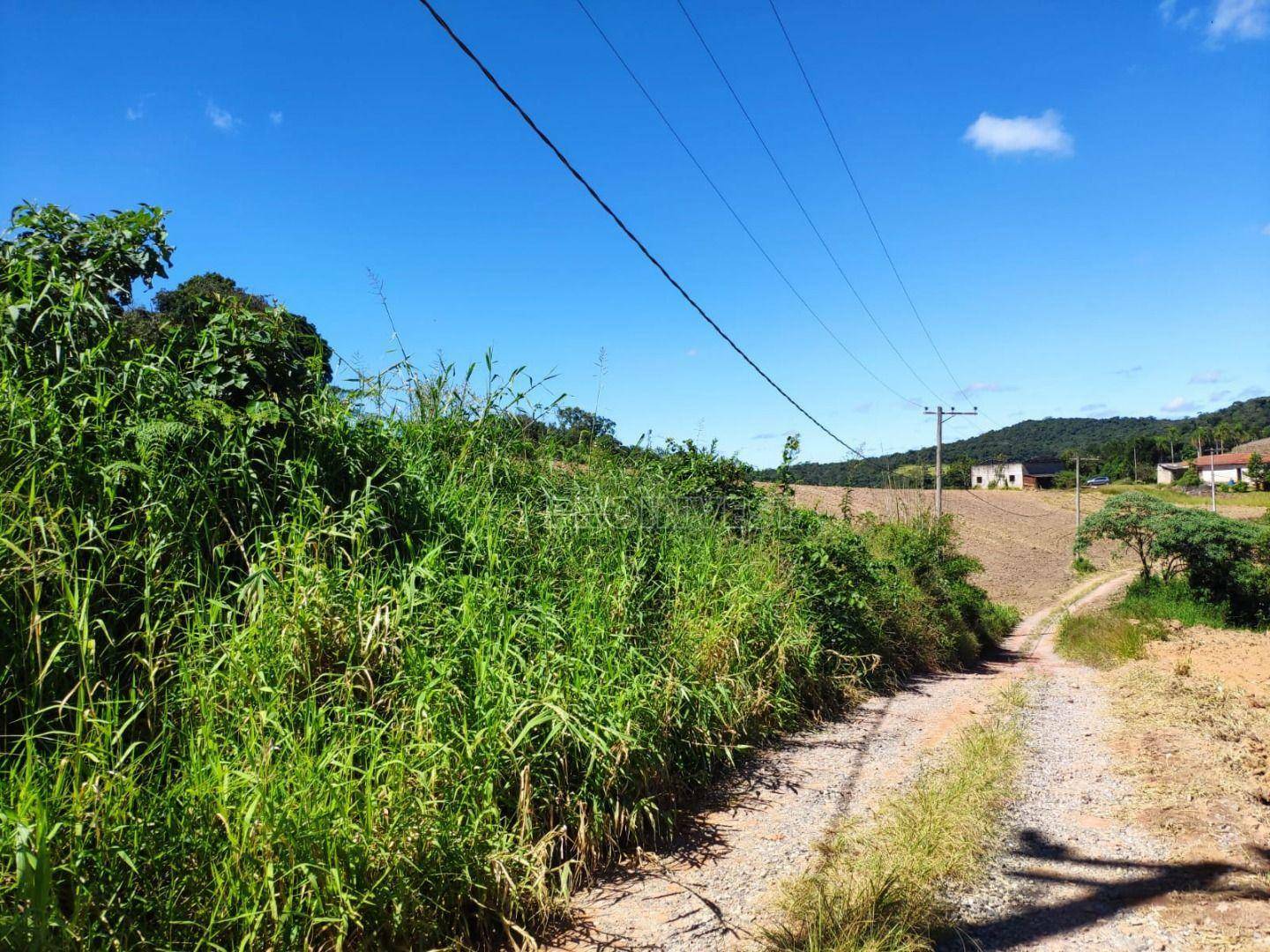 Sítio à venda com 4 quartos, 200m² - Foto 19