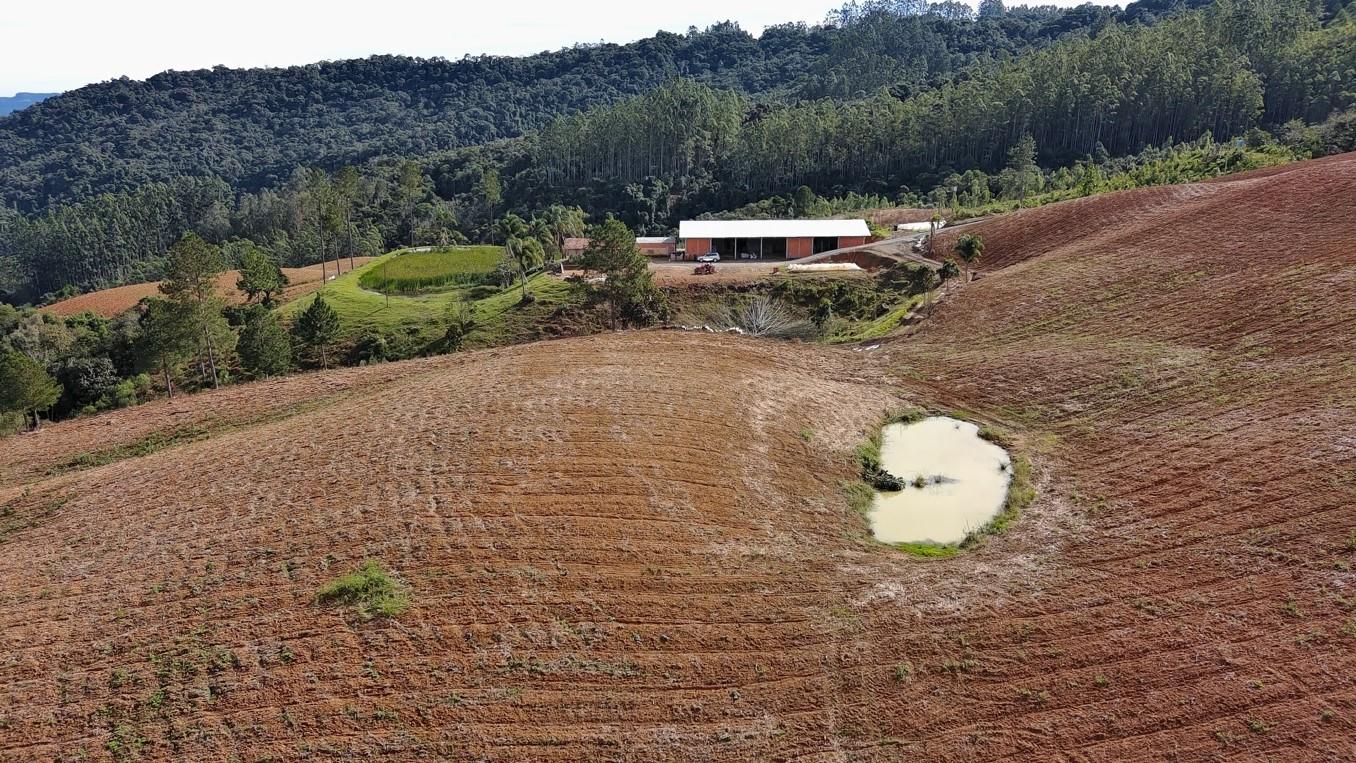 Fazenda à venda com 3 quartos, 260000m² - Foto 8