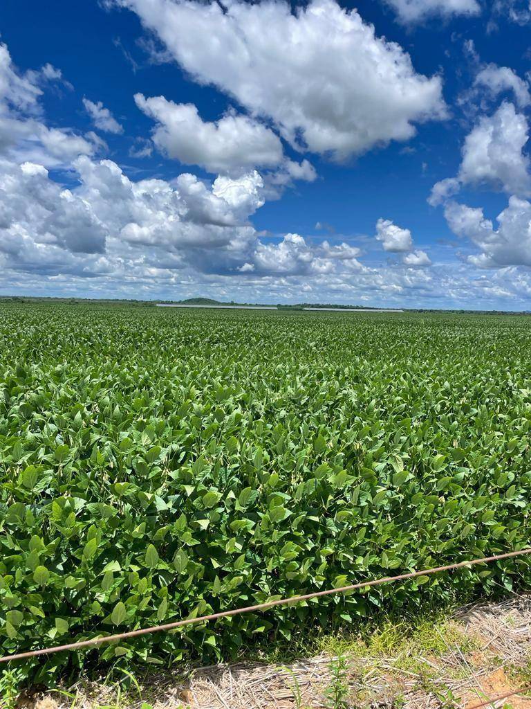 Fazenda à venda, 130000000M2 - Foto 18