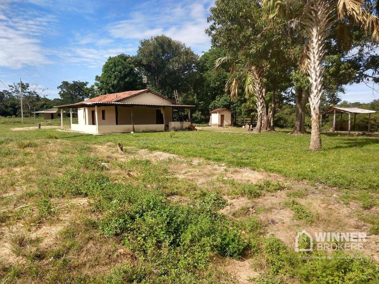 Fazenda-Sítio-Chácara, 1287 hectares - Foto 1