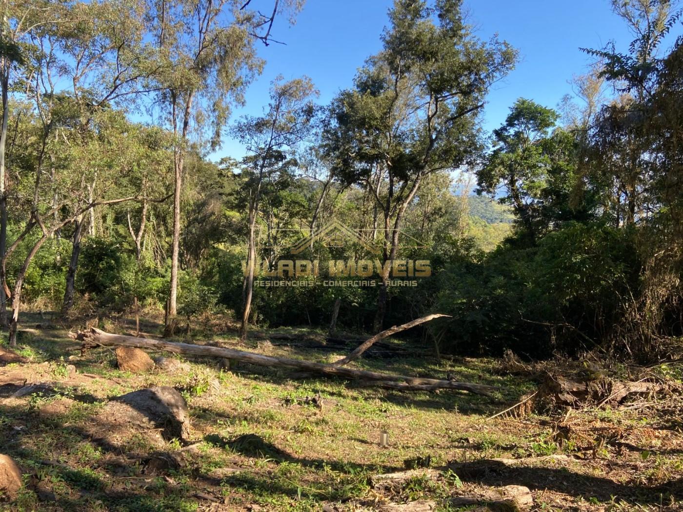 Terreno à venda, 40000m² - Foto 8
