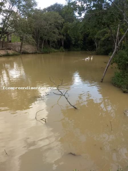 Fazenda à venda com 3 quartos, 10000m² - Foto 20