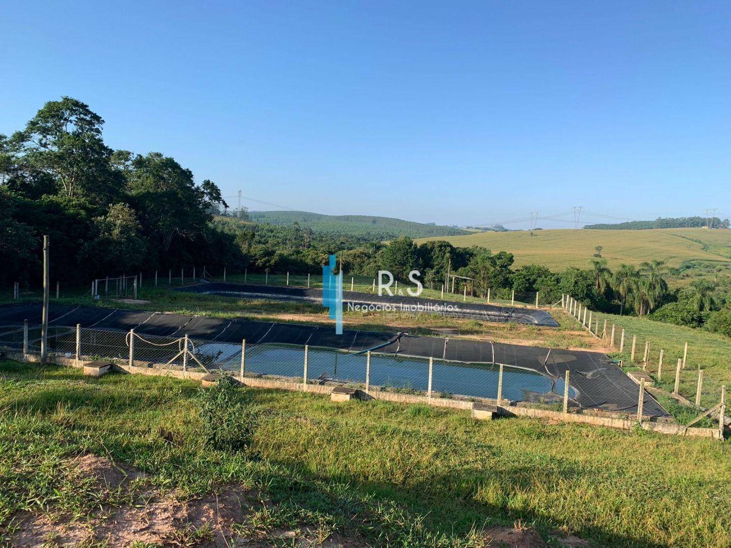 Fazenda-Sítio-Chácara, 40 hectares - Foto 2