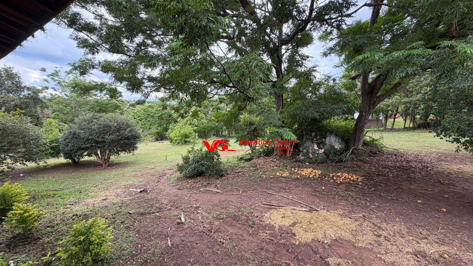 Chácara, 4 quartos, 4000 m² - Foto 5