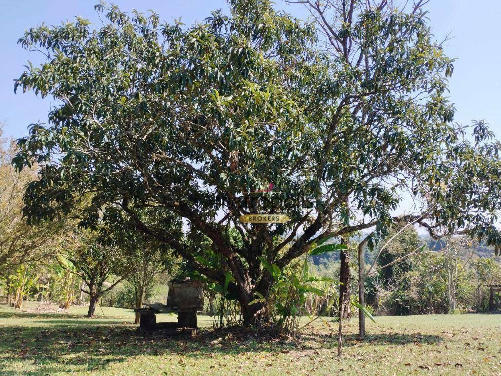 Chácara à venda com 3 quartos, 91m² - Foto 30