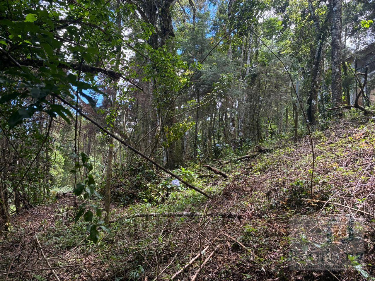 Terreno, 1046 m² - Foto 13