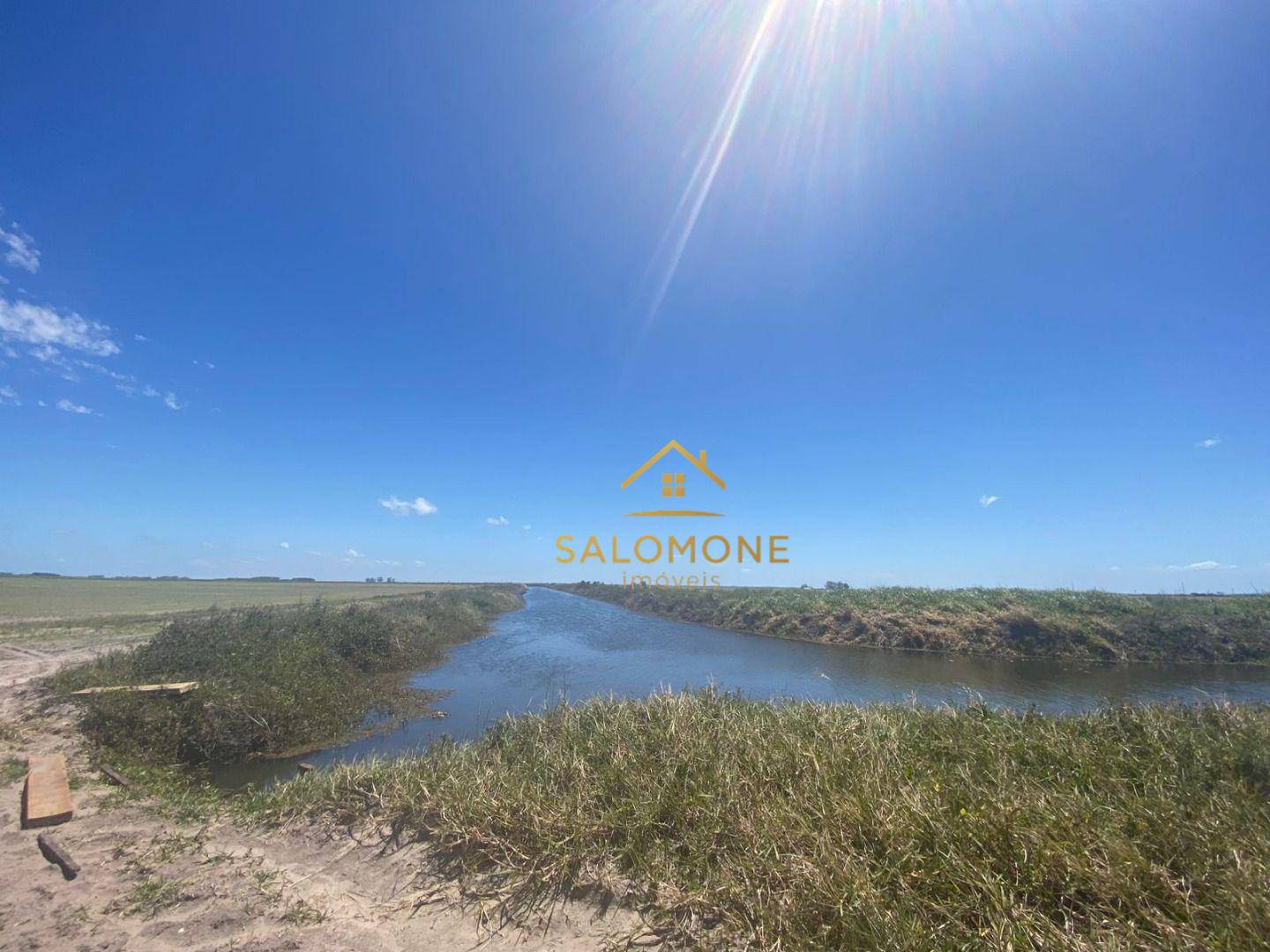 Fazenda, 100 hectares - Foto 7