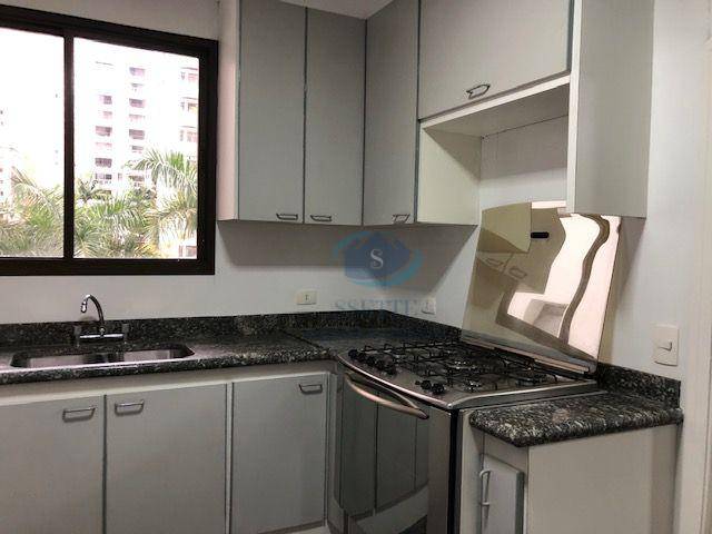 Apartamento à venda e aluguel com 4 quartos, 251m² - Foto 3