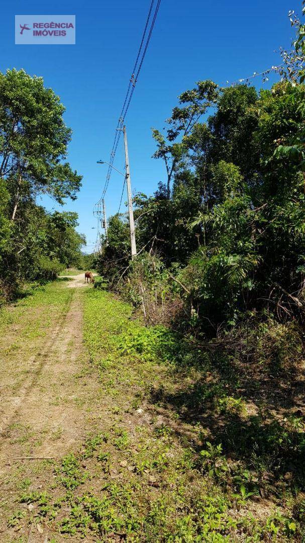 Terreno à venda, 5201M2 - Foto 3