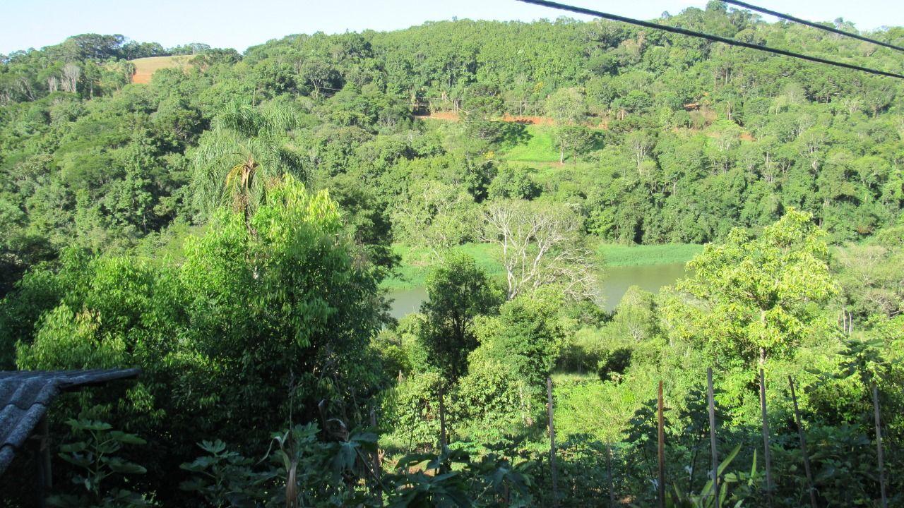 Fazenda à venda com 3 quartos, 7500m² - Foto 9