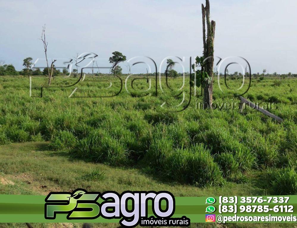 Fazenda-Sítio-Chácara, 78 hectares - Foto 2