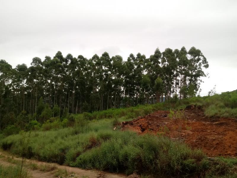 Fazenda à venda, 5000m² - Foto 11