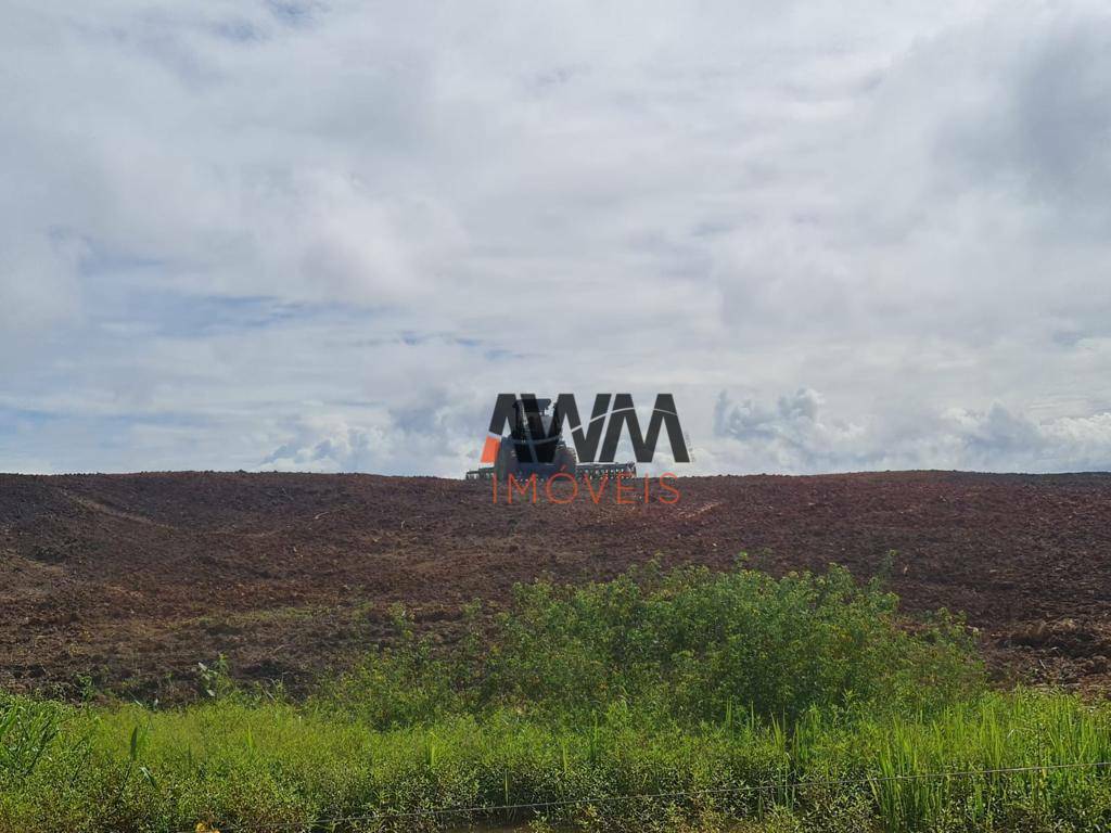 Fazenda-Sítio-Chácara, 1936 hectares - Foto 9