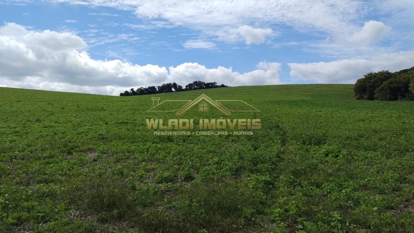 Fazenda à venda, 160m² - Foto 12