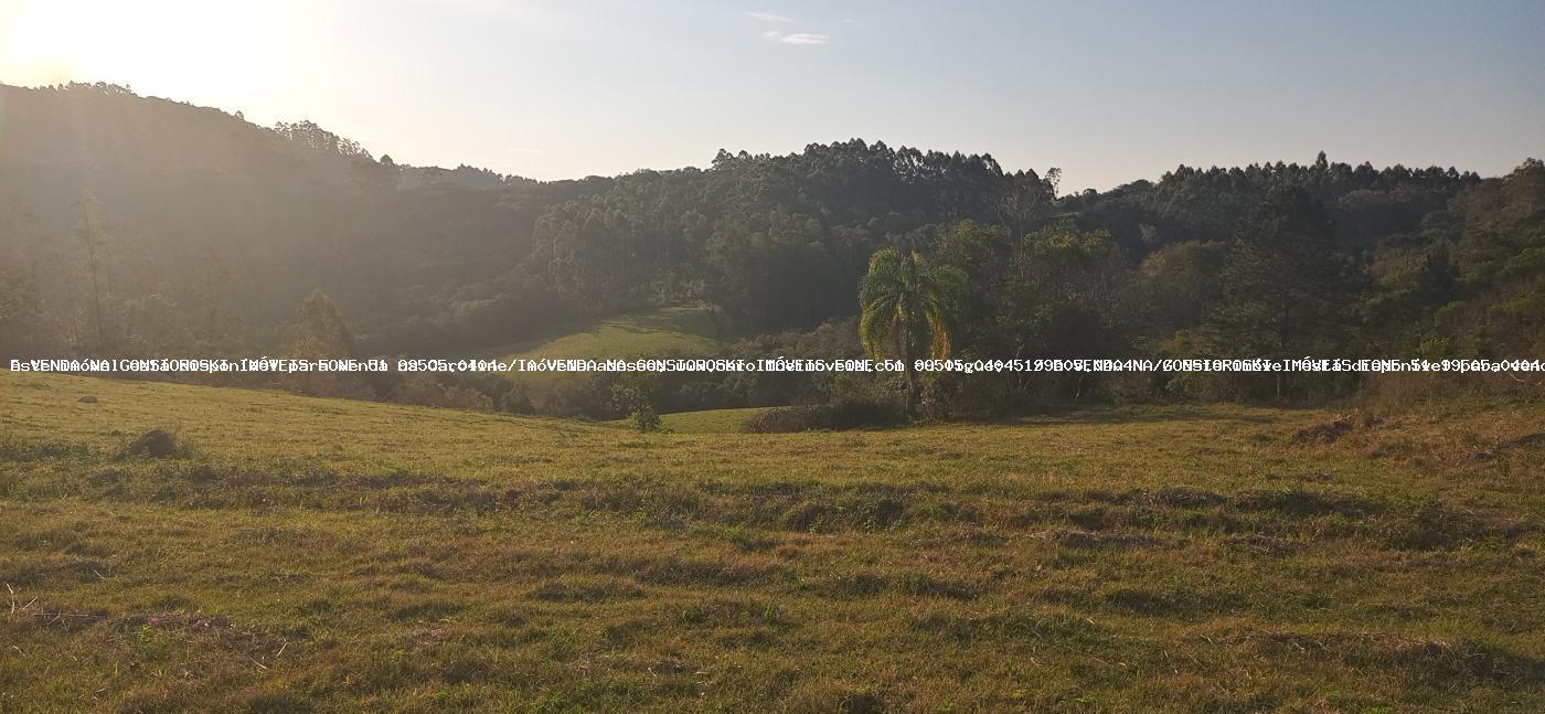 Loteamento e Condomínio, 25 m² - Foto 3