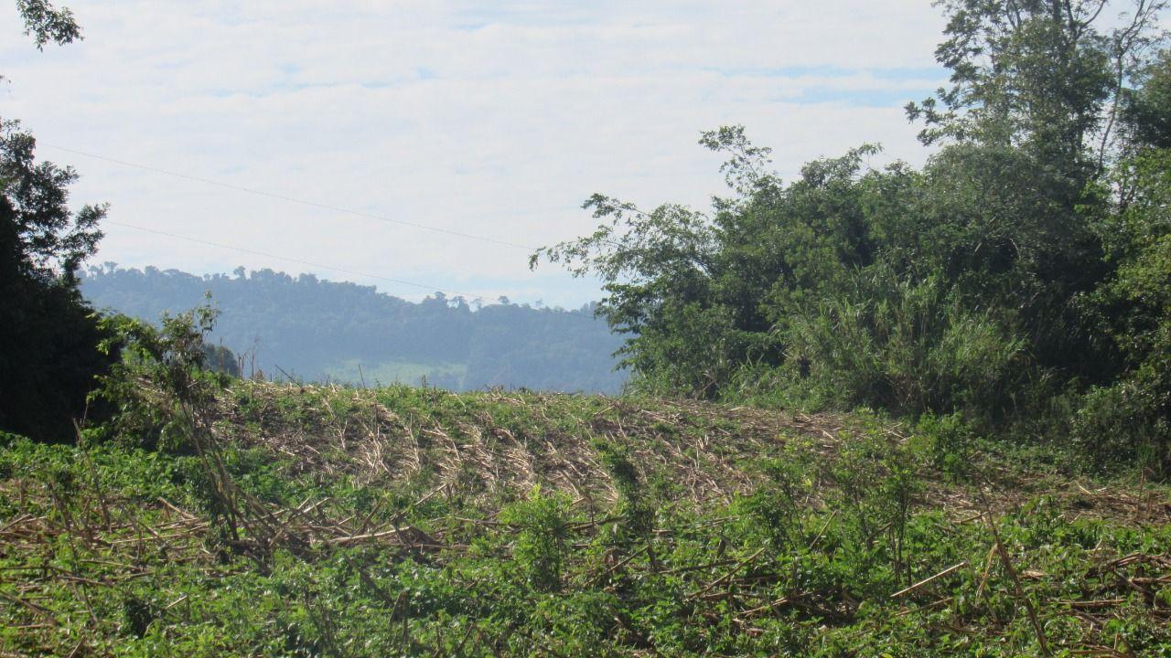 Loteamento e Condomínio à venda, 199000m² - Foto 17