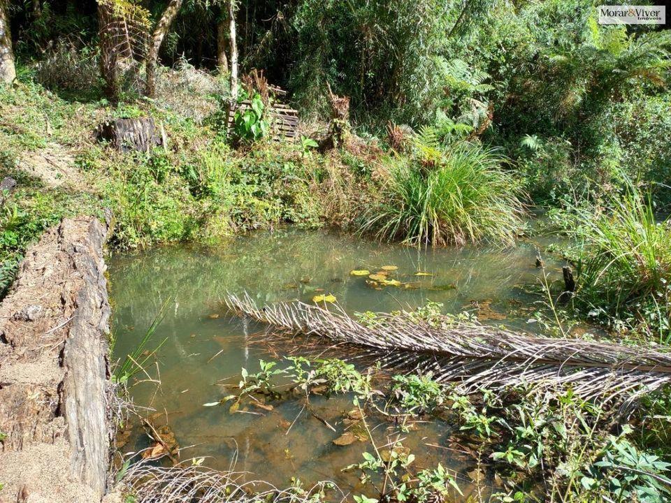 Fazenda à venda, 8000m² - Foto 19