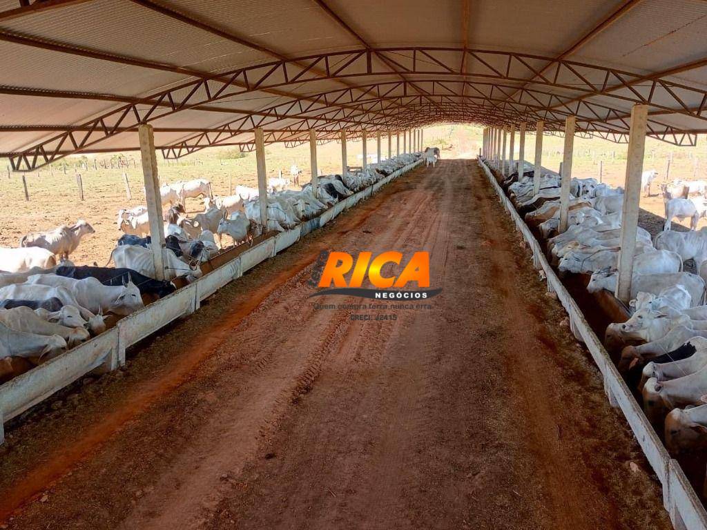 Fazenda, 337 hectares - Foto 2