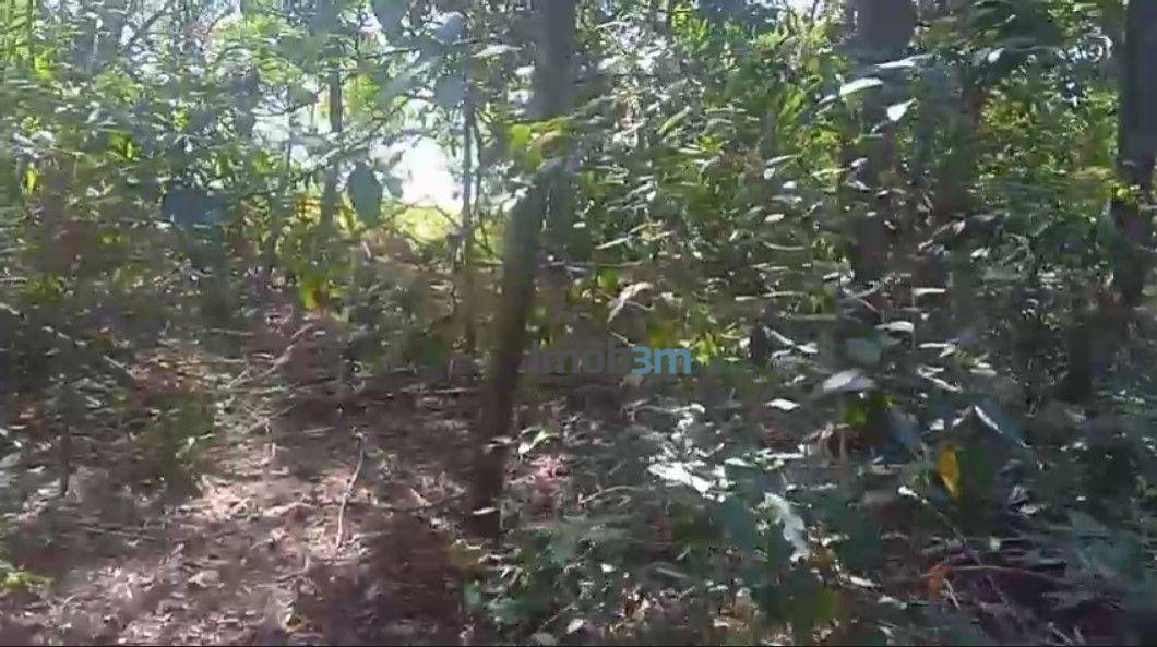 Terreno, 1938 m² - Foto 14