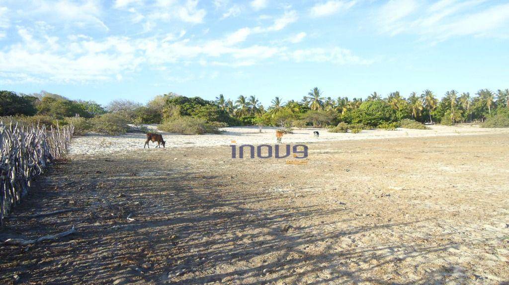 Terreno, 24 m² - Foto 10