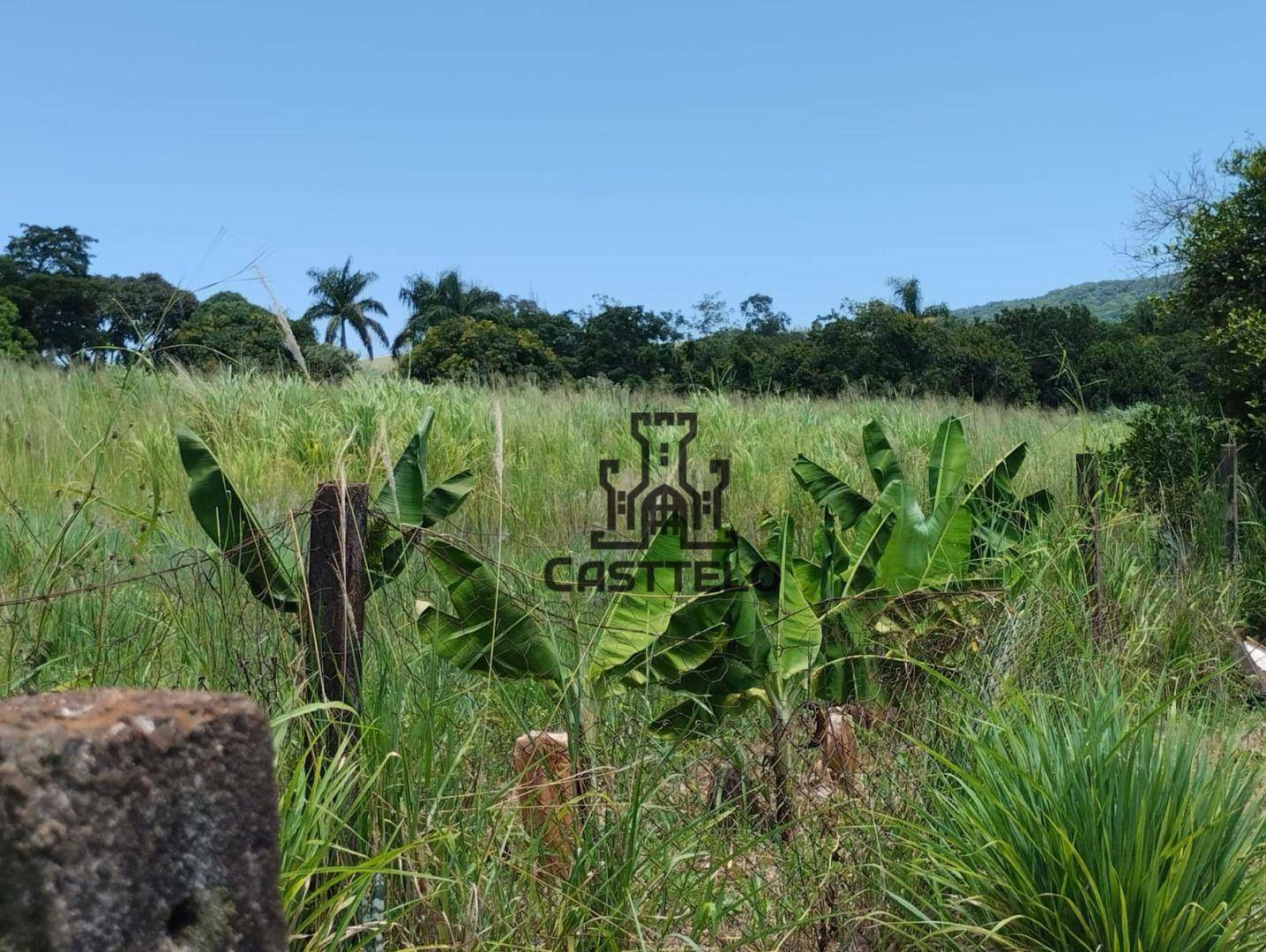 Chácara à venda com 3 quartos, 16720M2 - Foto 8